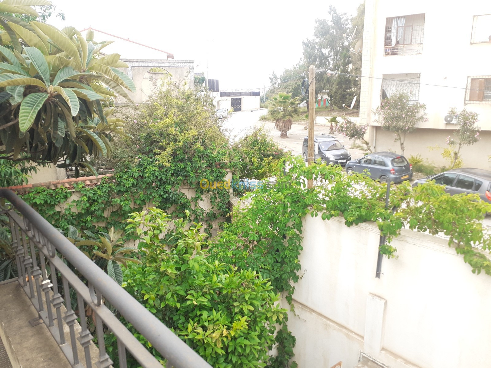 Vente Villa Alger Bouzareah