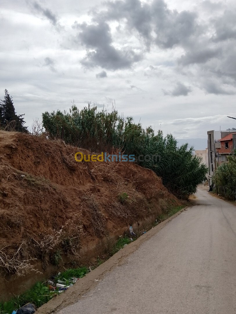 Vente Terrain Alger Mahelma