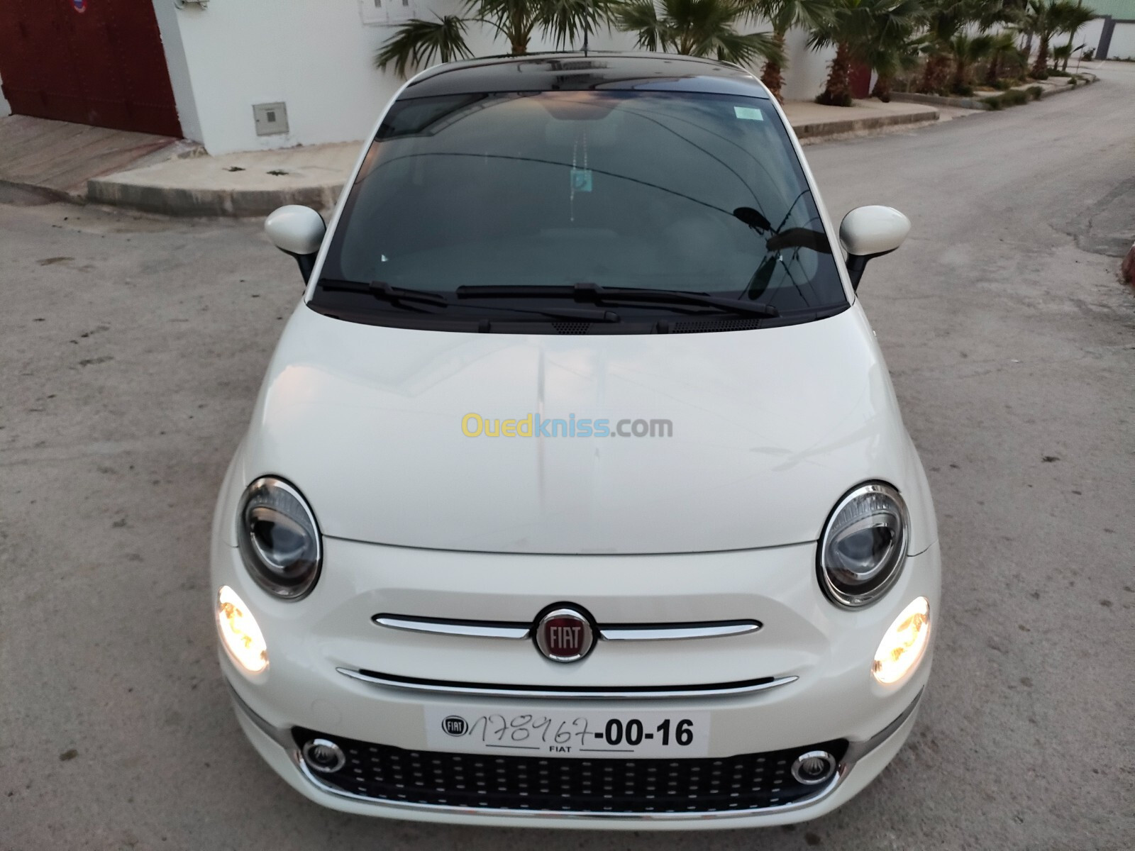 Fiat 500 2023 