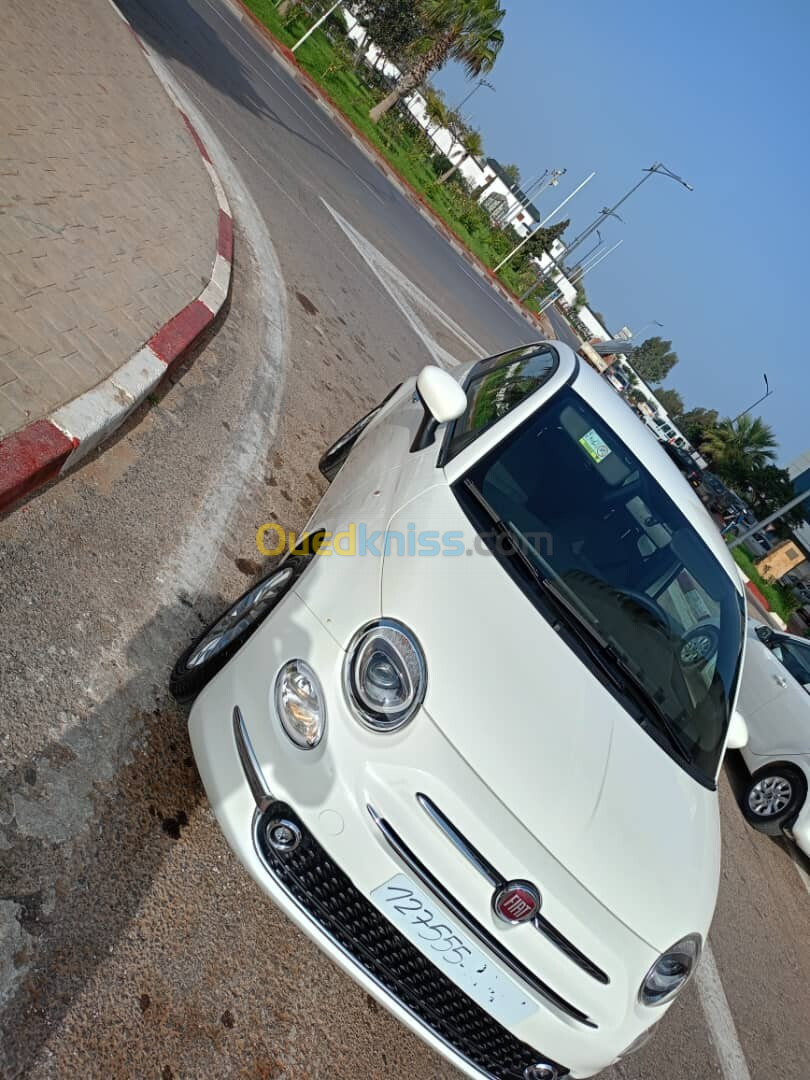 Fiat 500 2024 500