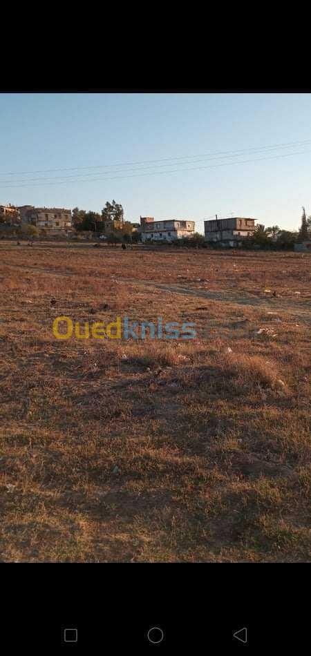 Vente Terrain Skikda Beni Bechir