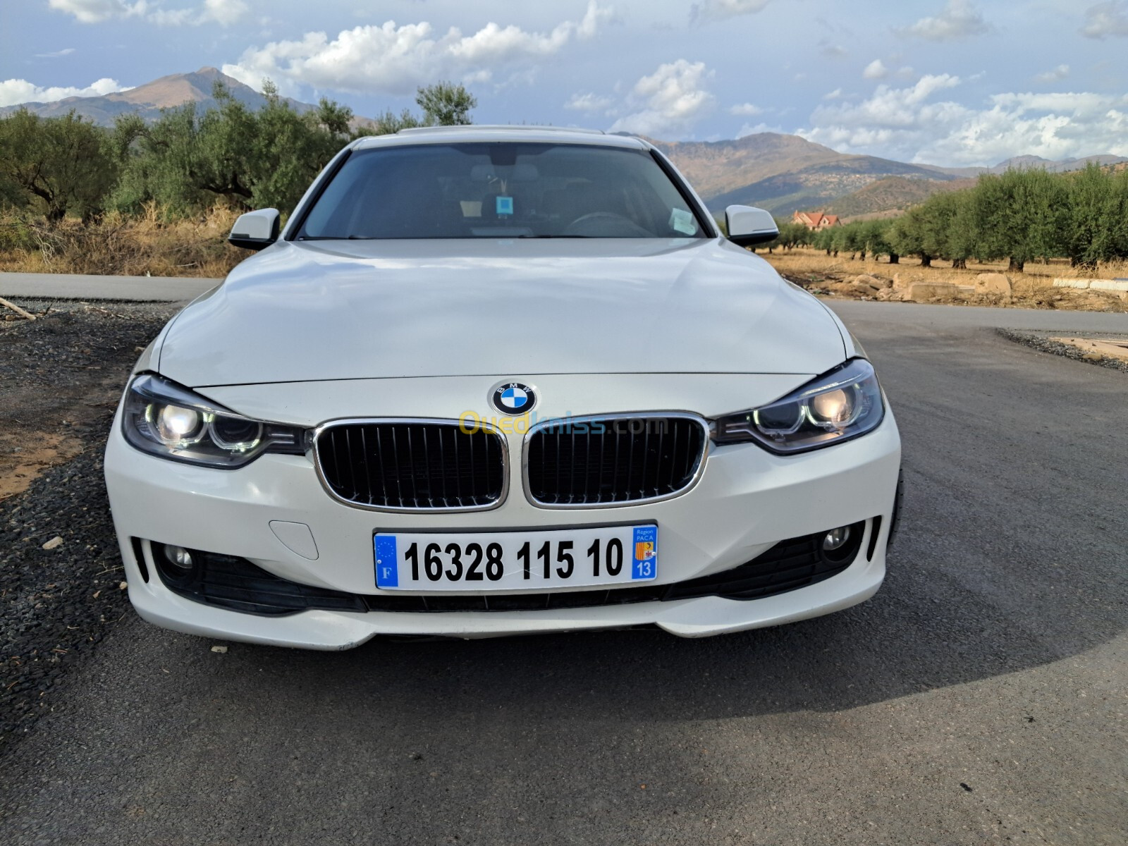 BMW Série 3 2015 Excelium