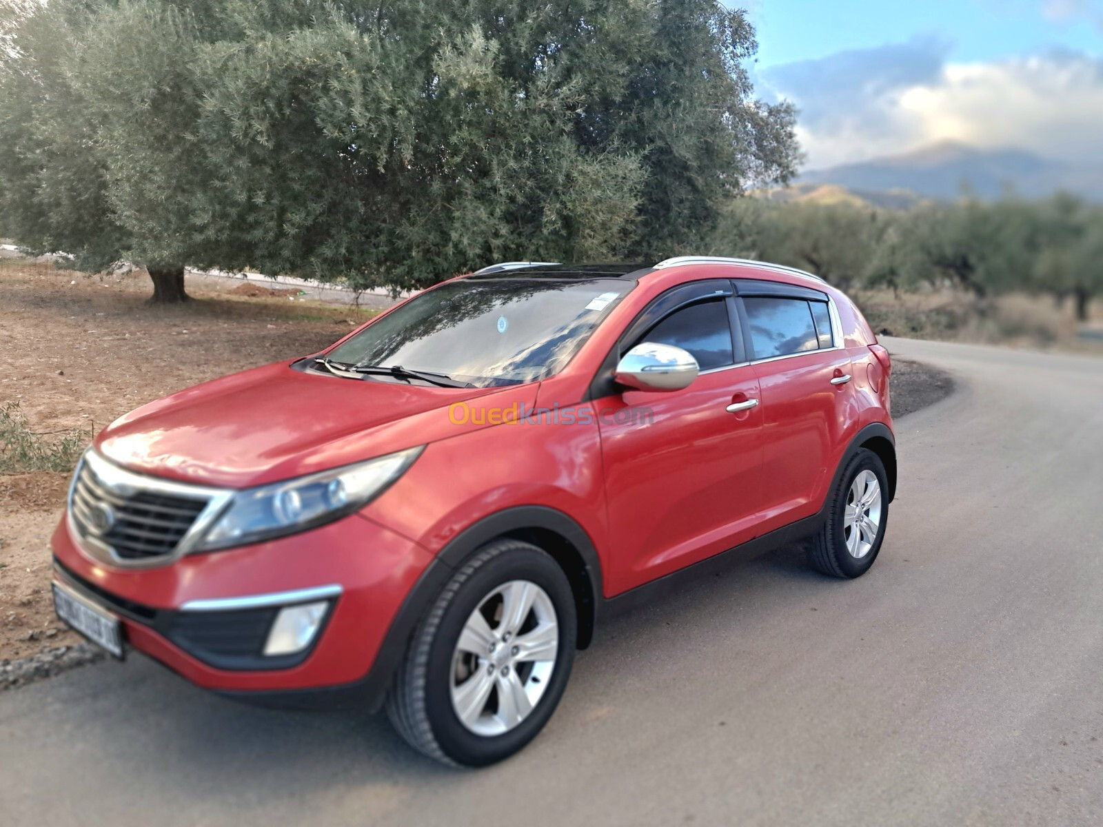 Kia Sportage 2013 Sportage