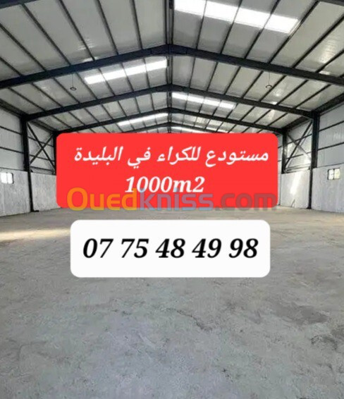 Location Hangar Blida Beni tamou