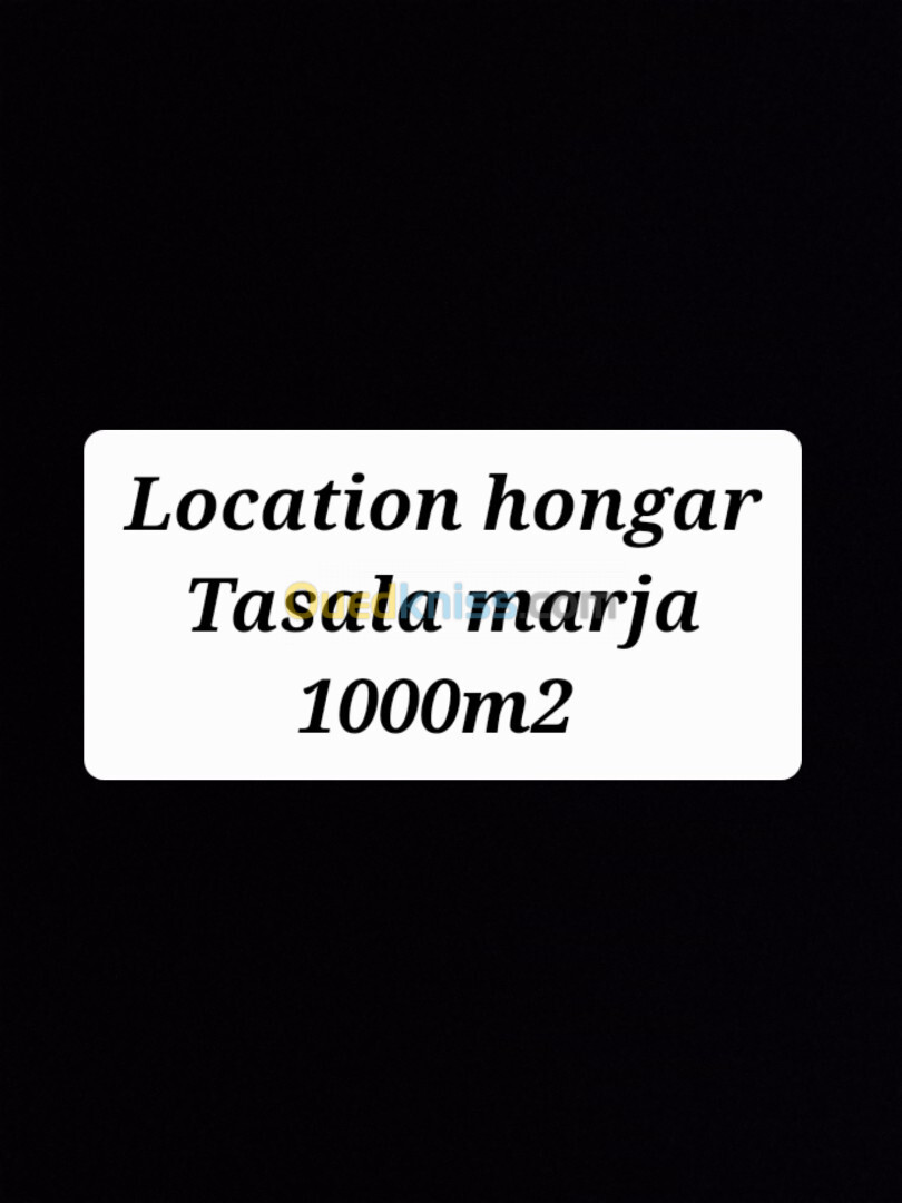 Location Hangar Alger Tessala el merdja