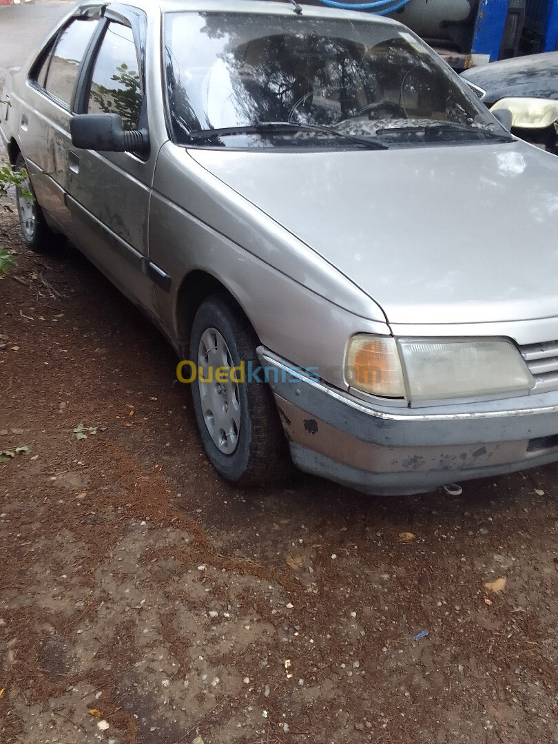 Peugeot 405 1989 405