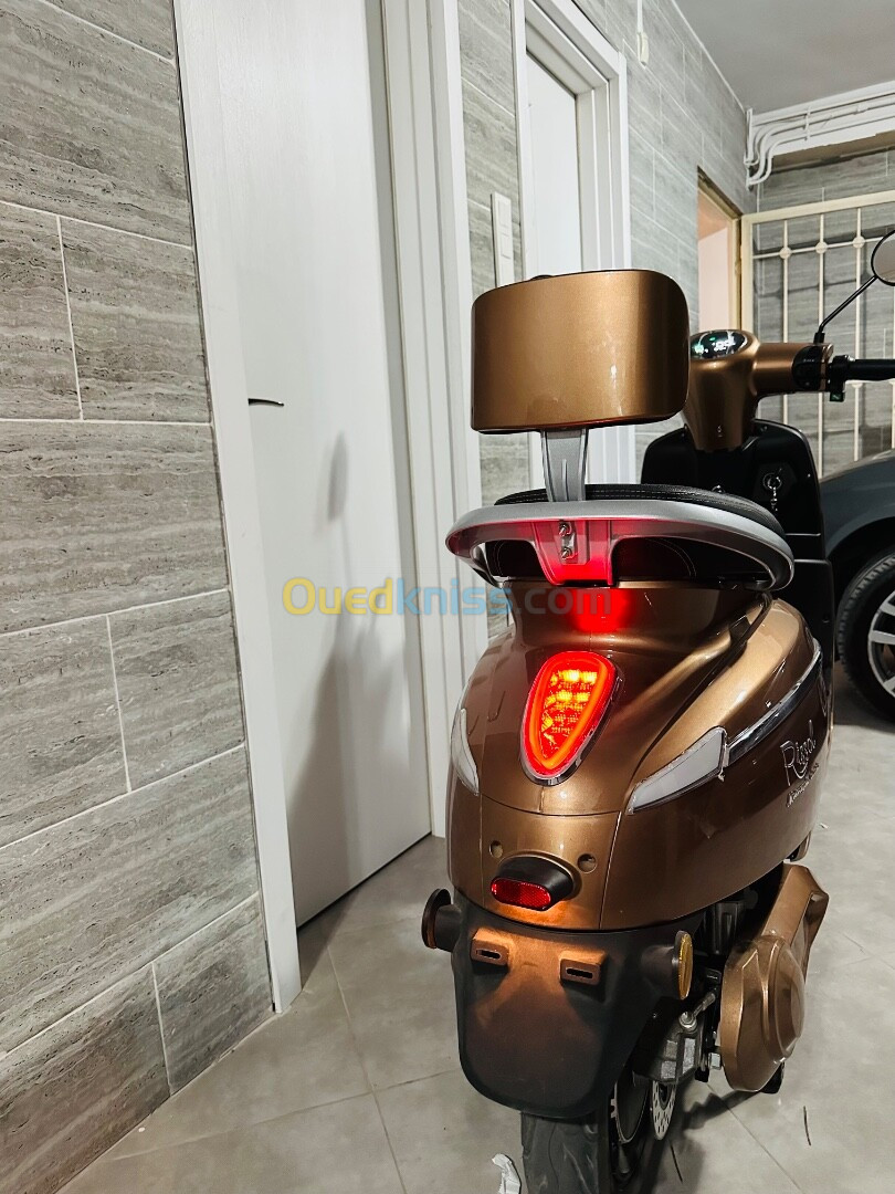 Rissol Scooter électrique, sans permis,vitesse max 100km/h autonomie 80km à 120km 2024