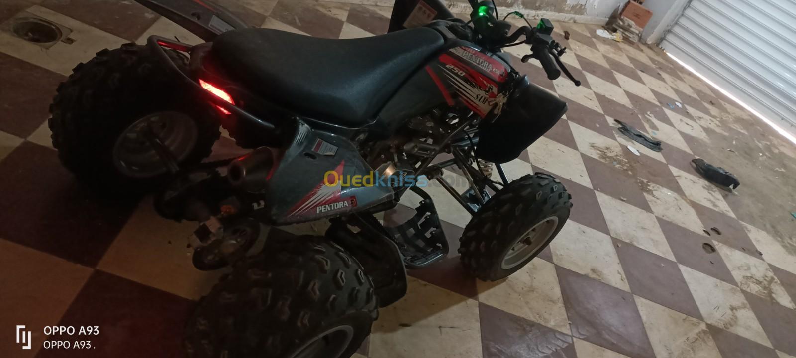 Sam Sam pantora 250cc 2023