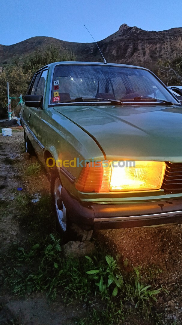 Peugeot 305 1979 305