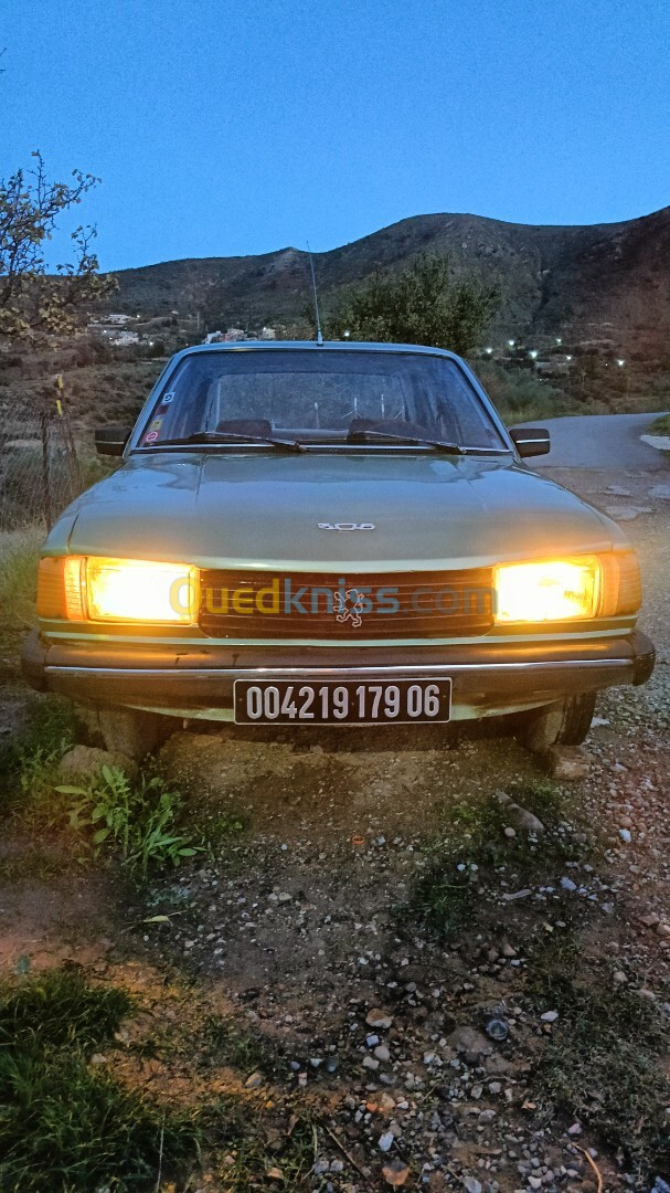 Peugeot 305 1979 305