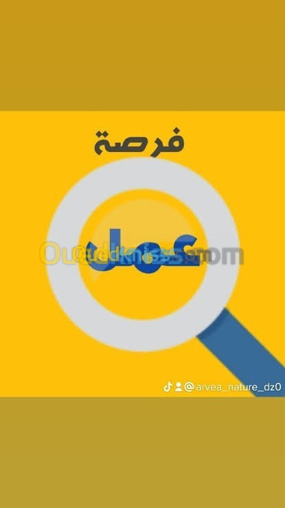 عون مبيعات داخلي