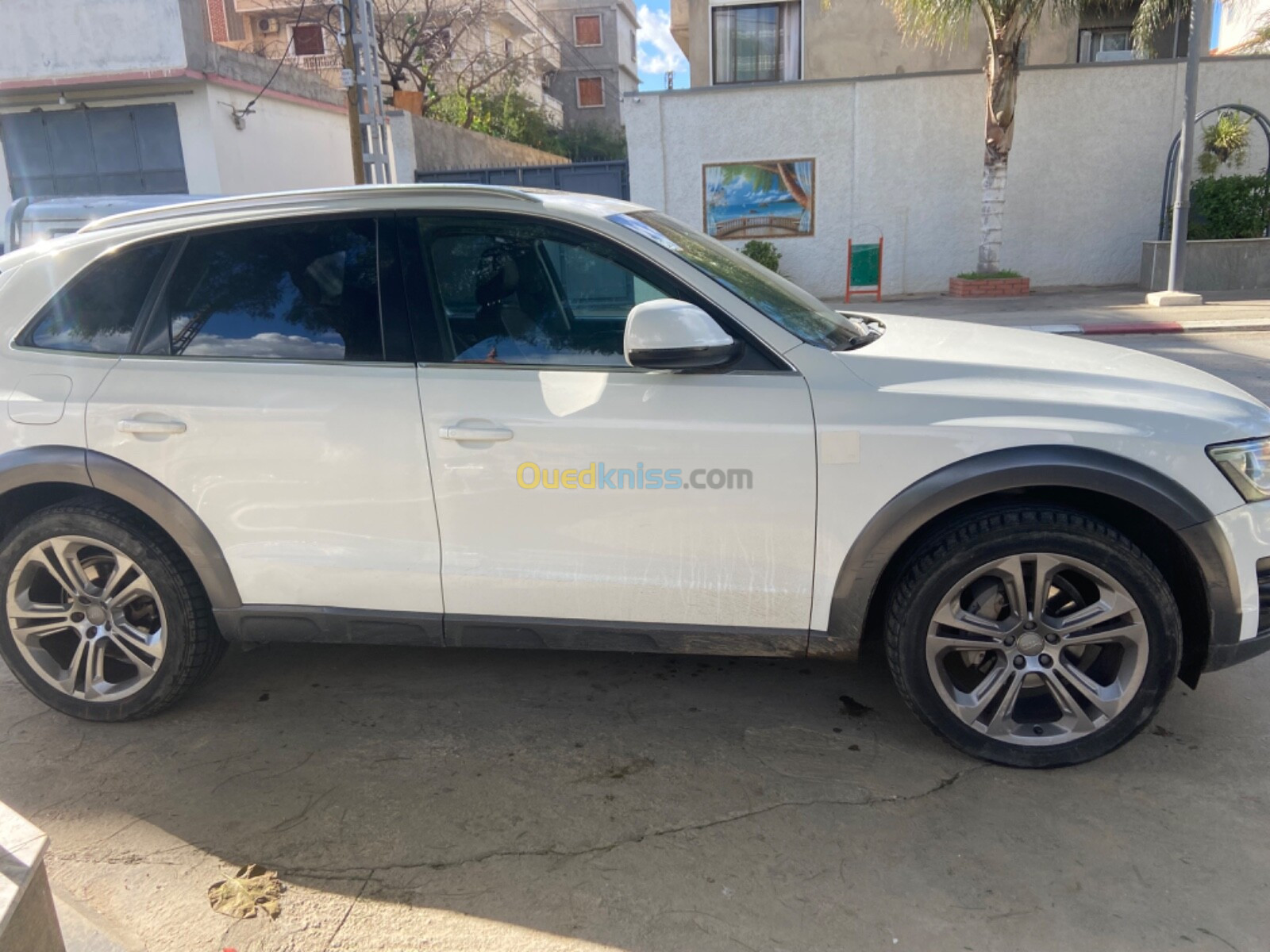 Audi Q5 2013 Off Road