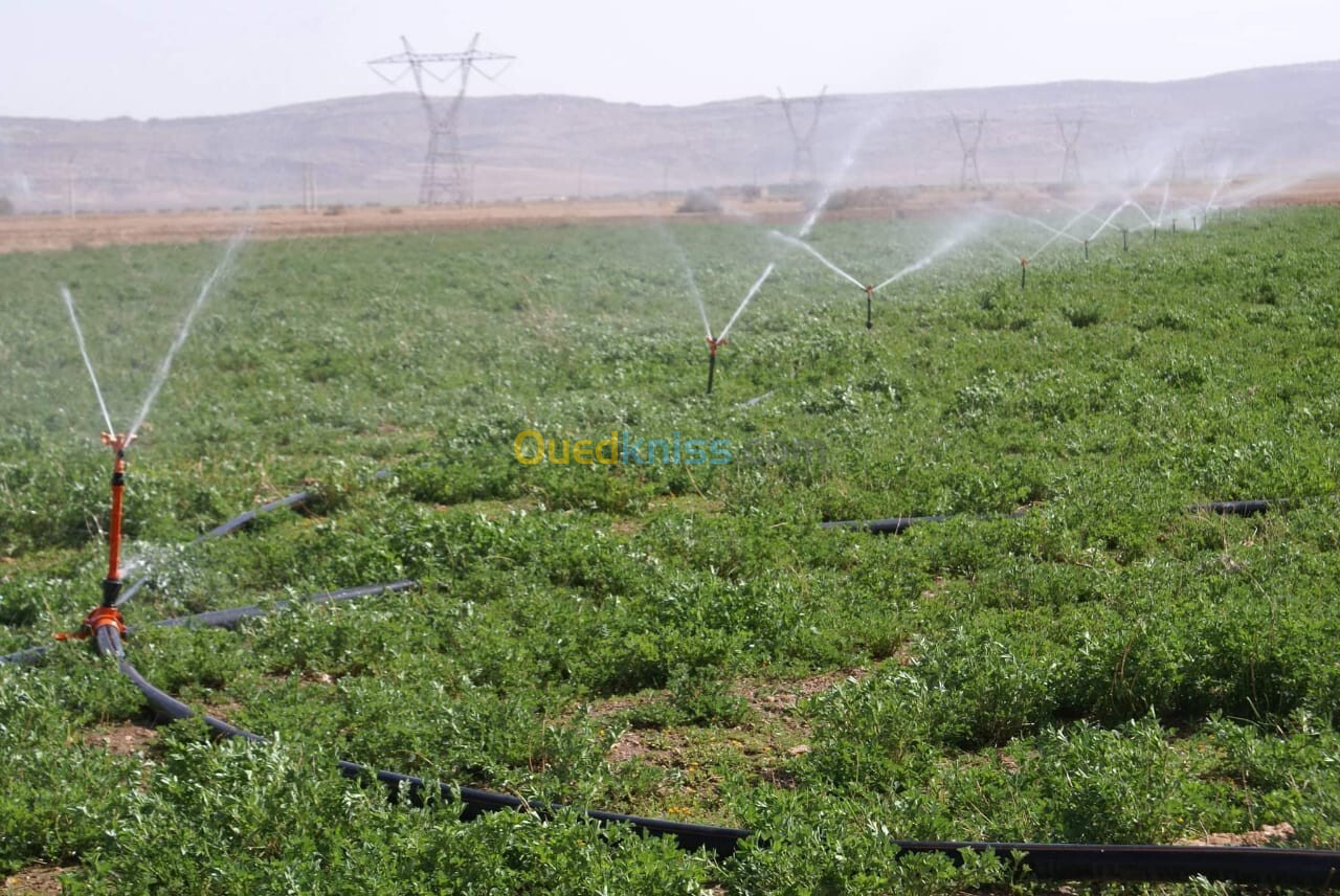 Vente Terrain Agricole Djelfa Ain oussara