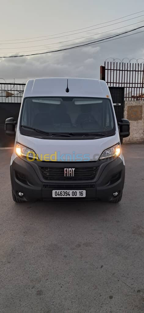 Faiat Ducato 2024