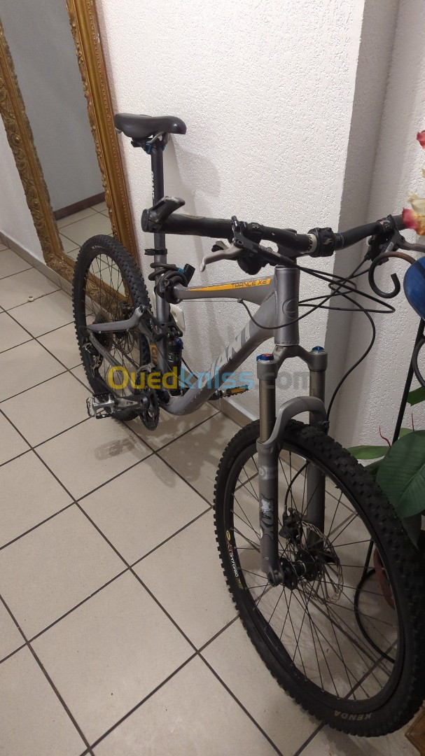 VTT tout suspendu GIANT thrance x2