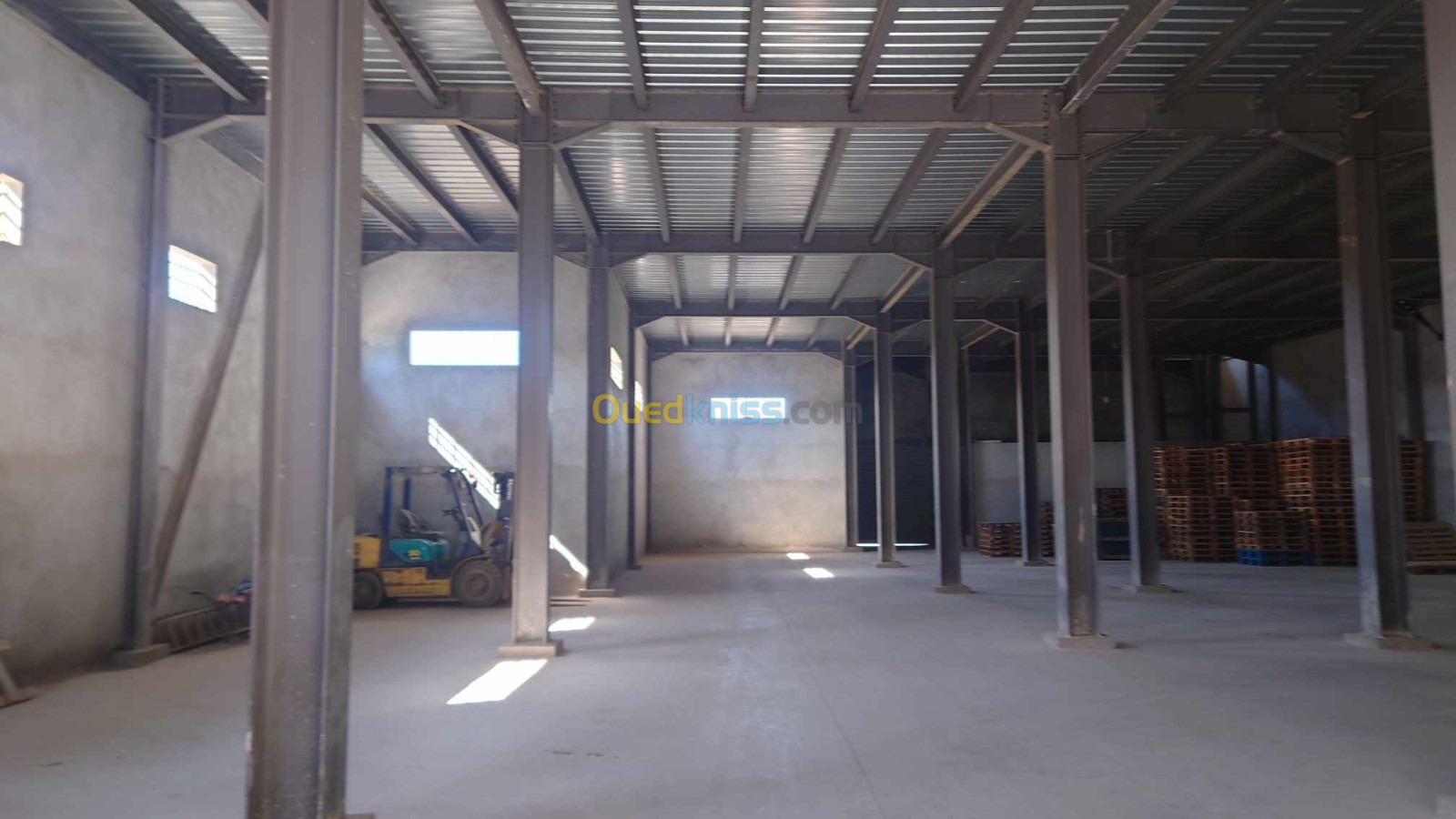 Location Hangar Blida Meftah