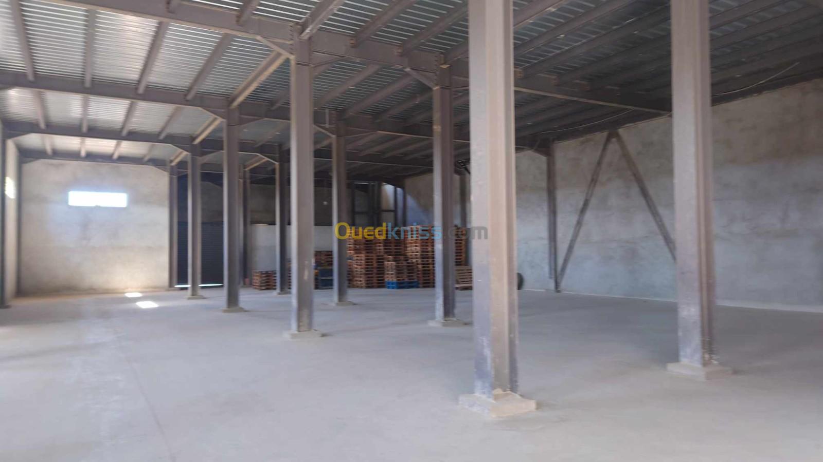 Location Hangar Blida Meftah