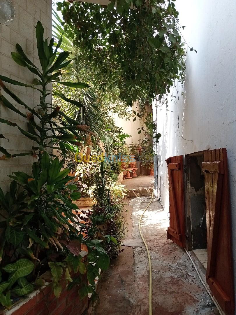 Vente Villa Alger Sidi mhamed