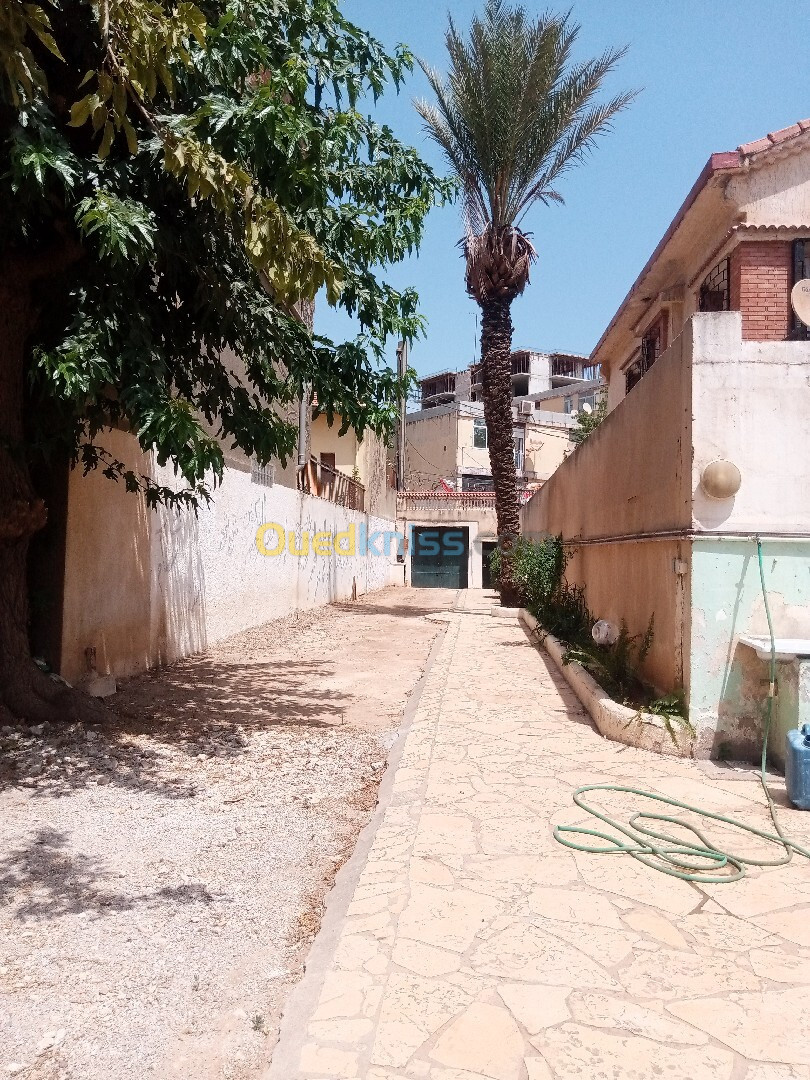 Location Villa Alger El mouradia