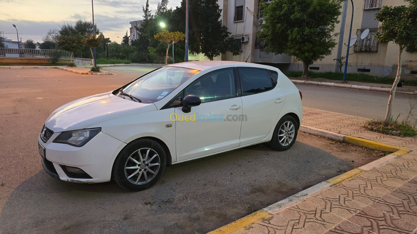 Seat Ibiza 2013 