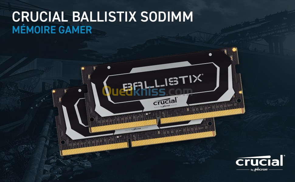 Crucial Ballistix 32GB (16GB x2)