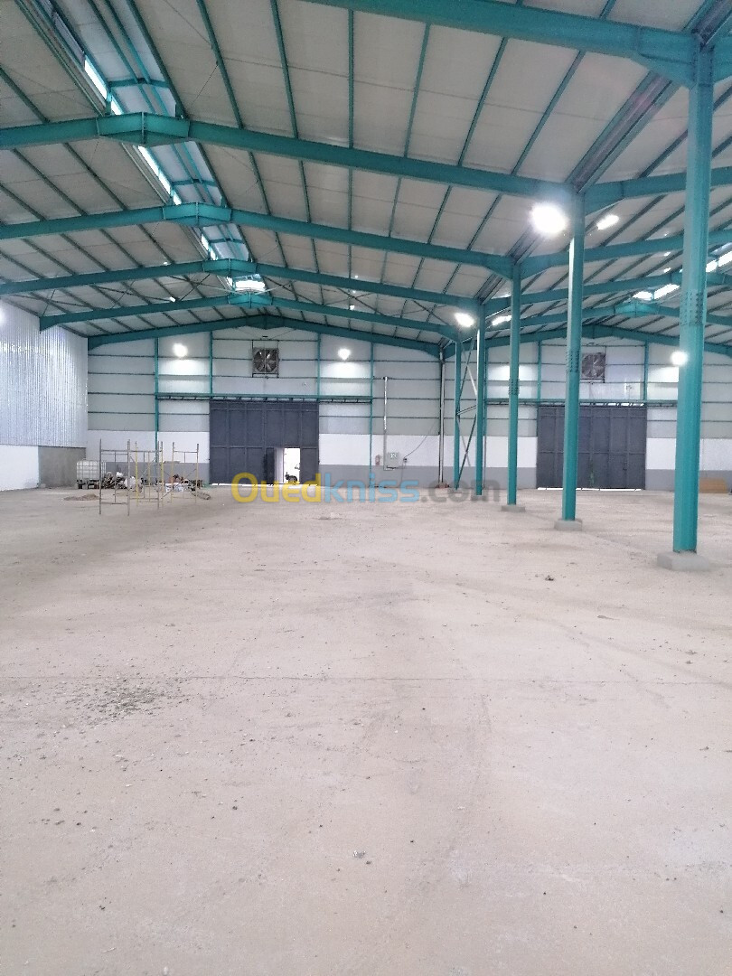 Location Hangar Blida Boufarik