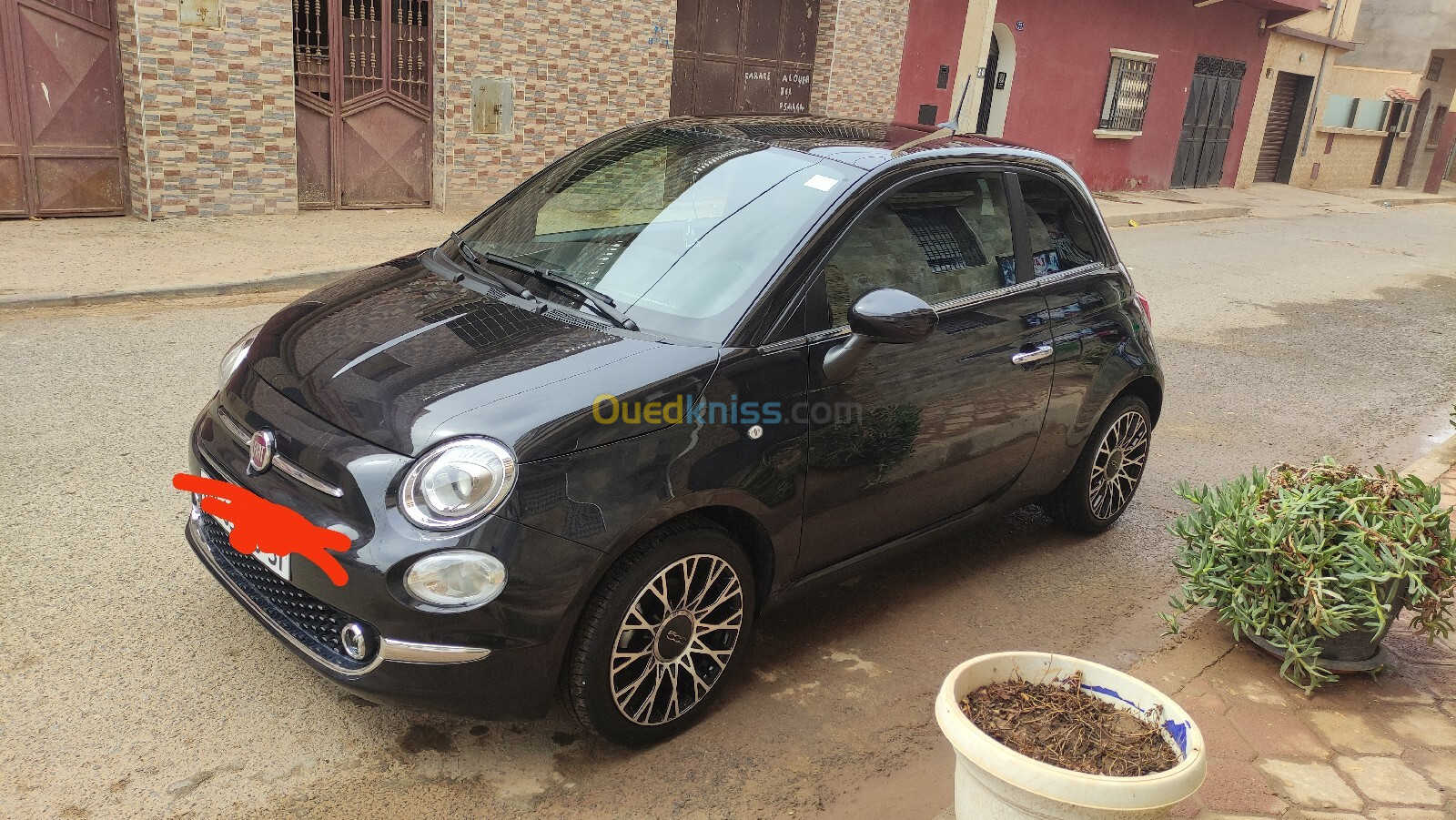 Fiat Fiat 500 2023 