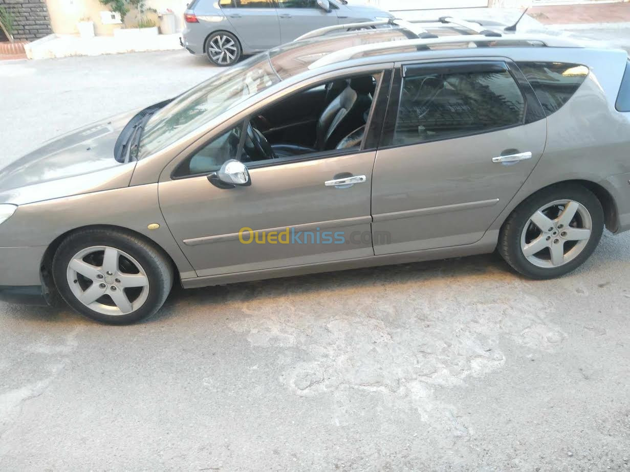 Peugeot 407 2006 407SW