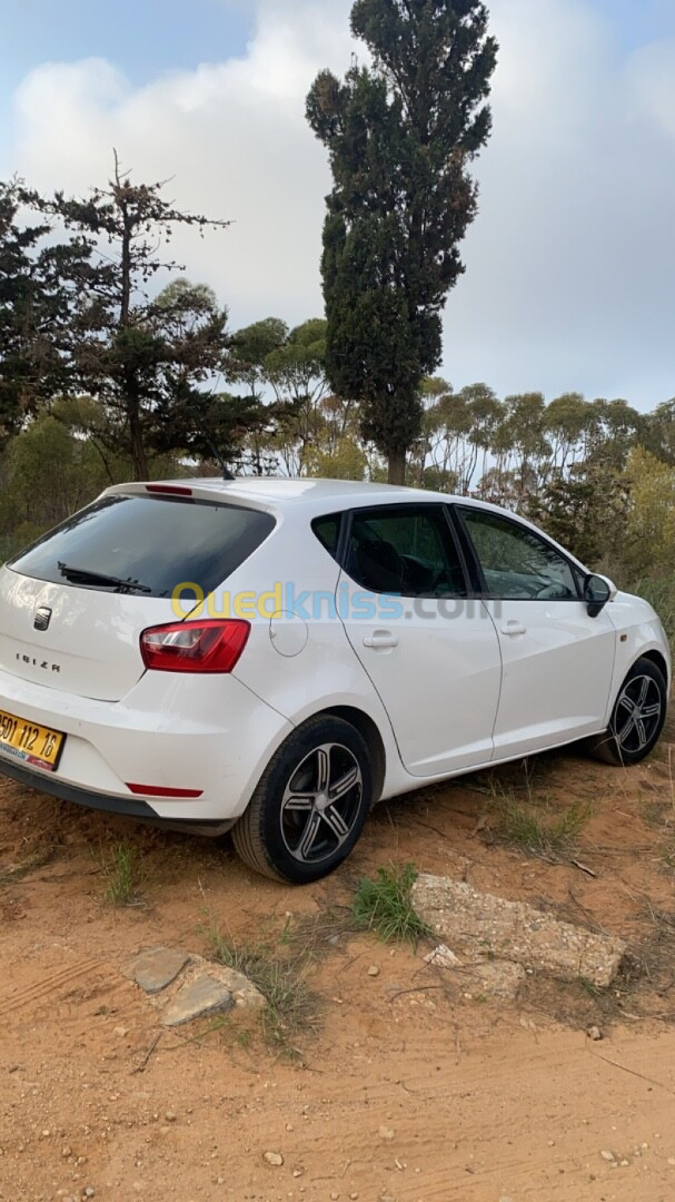 Seat Ibiza 2012 Fully