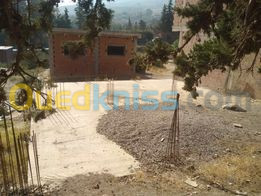 Vente Terrain Blida Ain romana