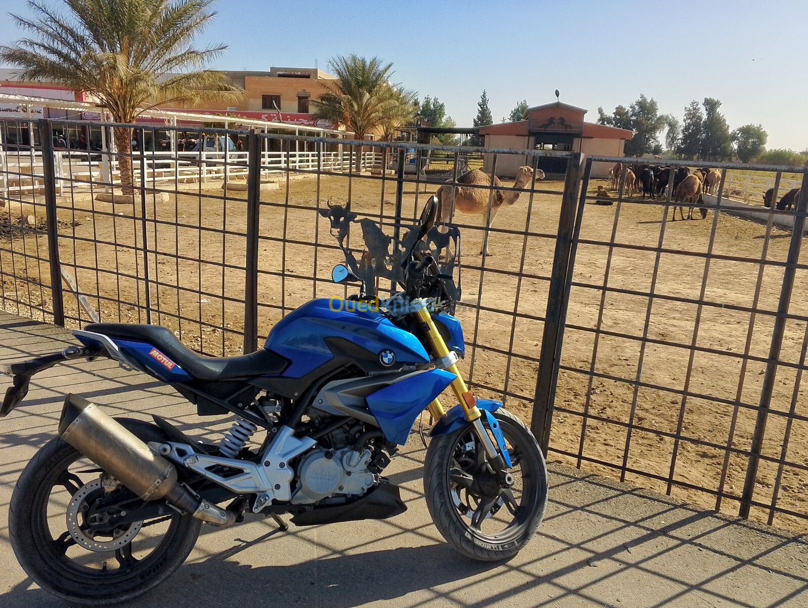 BMW G310R 2018