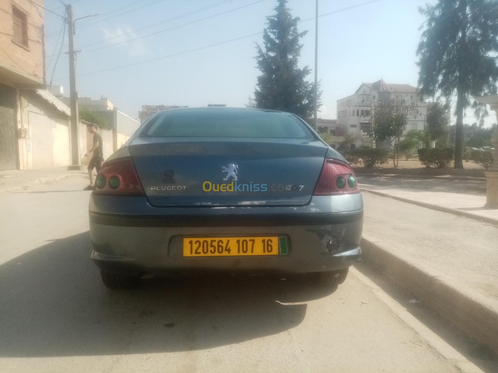 Peugeot 407 2007 407