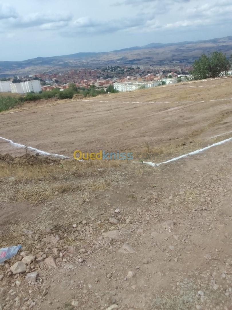 Vente Terrain Guelma Guelma