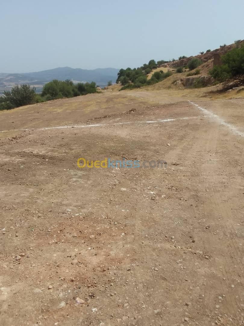 Vente Terrain Guelma Guelma