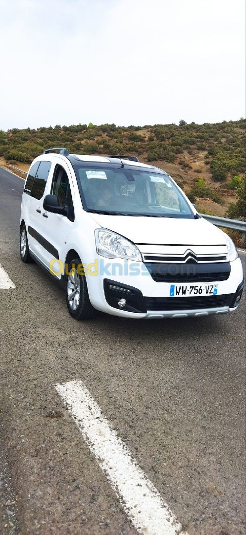 Citroen Berlingo 2018 Berlingo