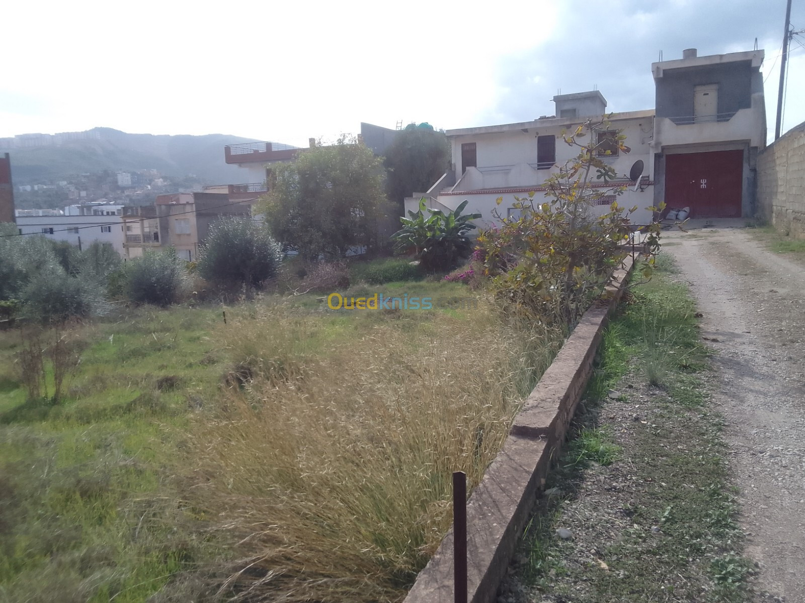 Vente Terrain Béjaïa Bejaia