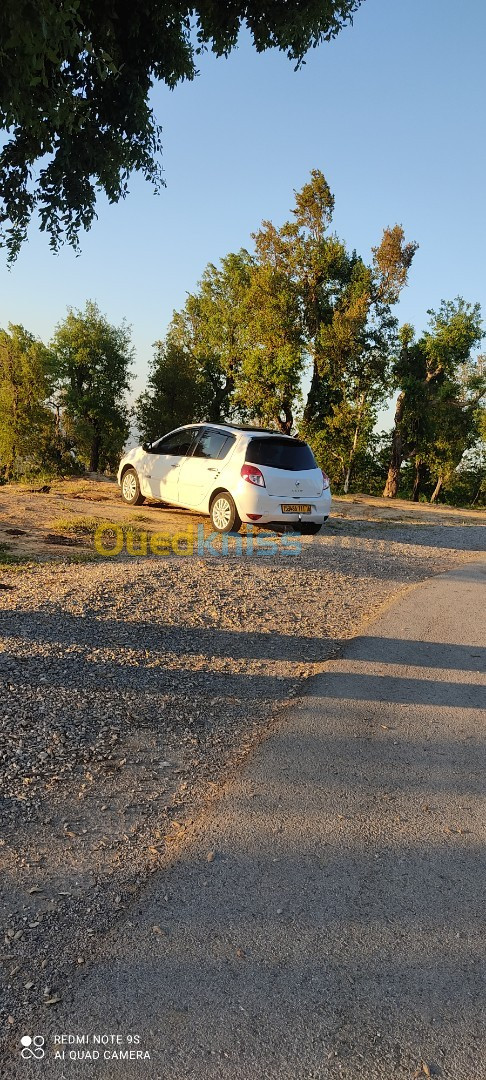 Renault Clio 3 2011 Night and Day