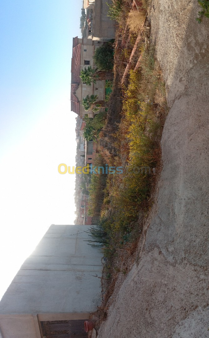 Vente Terrain Boumerdès Ouled moussa