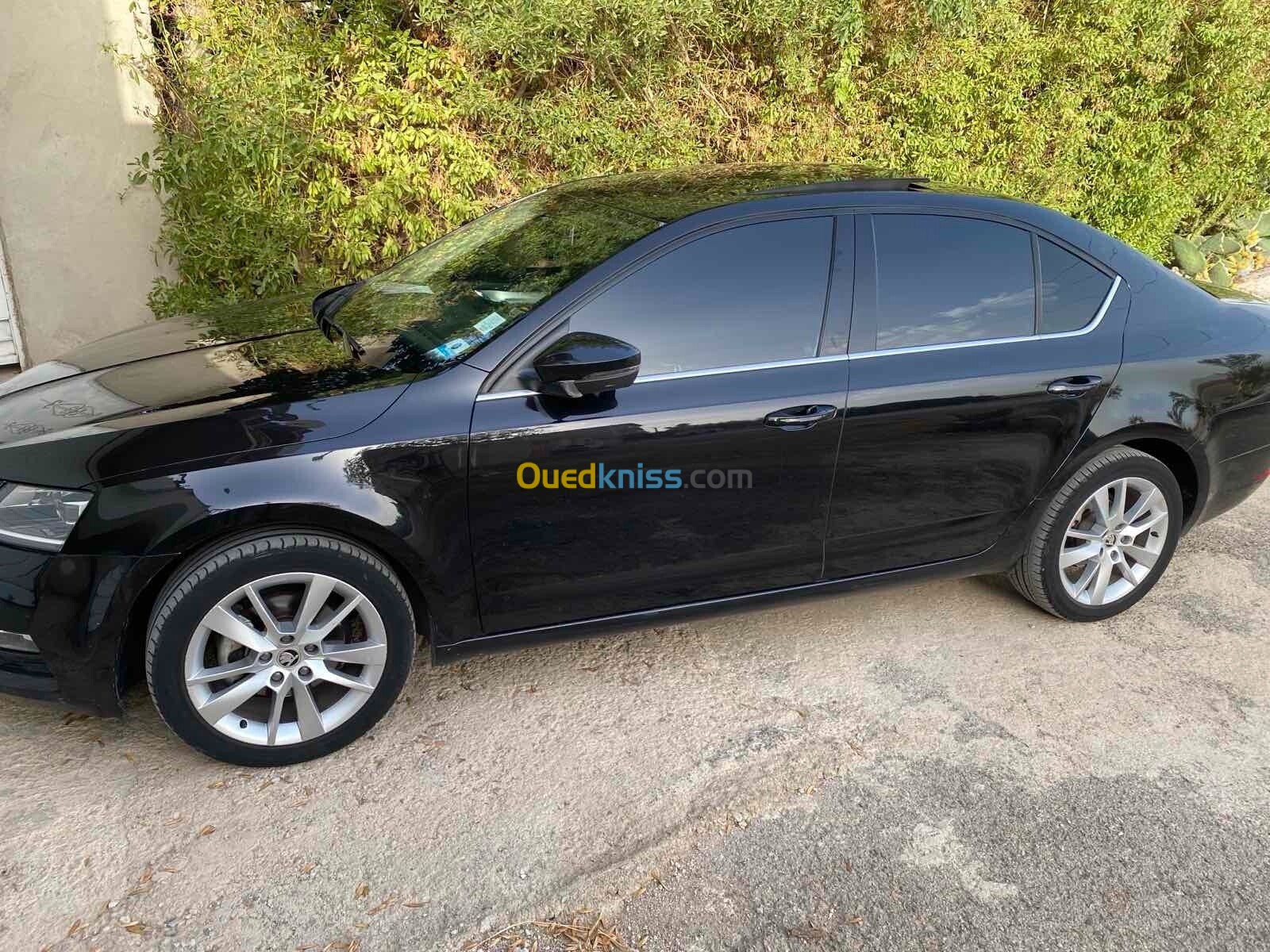 Skoda Octavia 2018 Clever