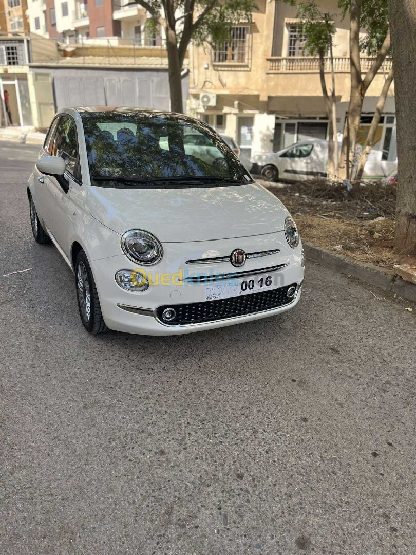 Fiat 500 2024 club