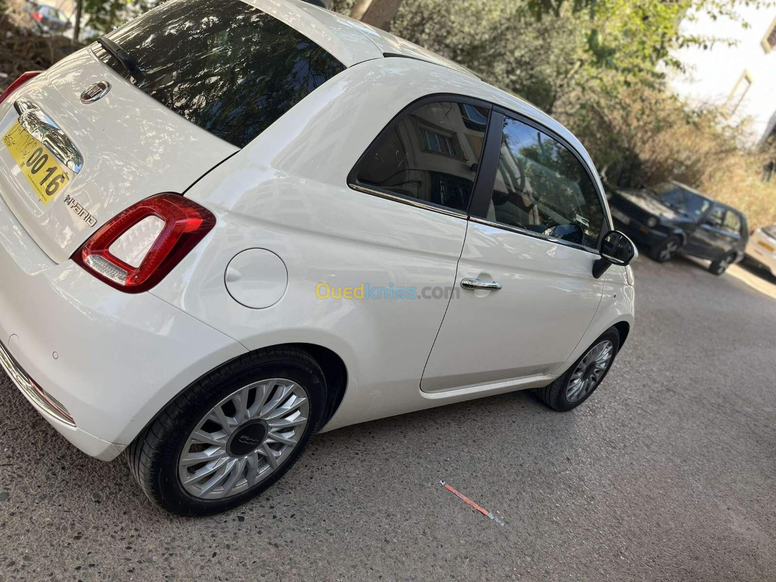 Fiat 500 2024 club