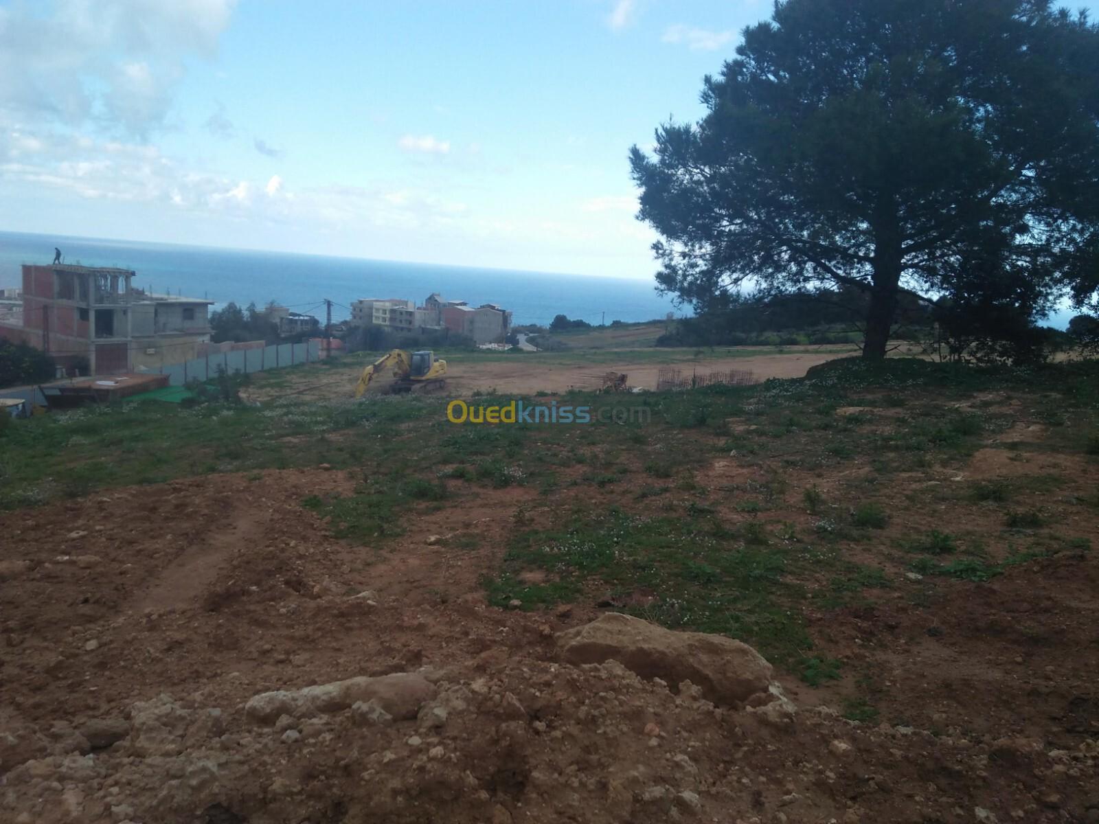 Vente Terrain Tipaza Cherchell