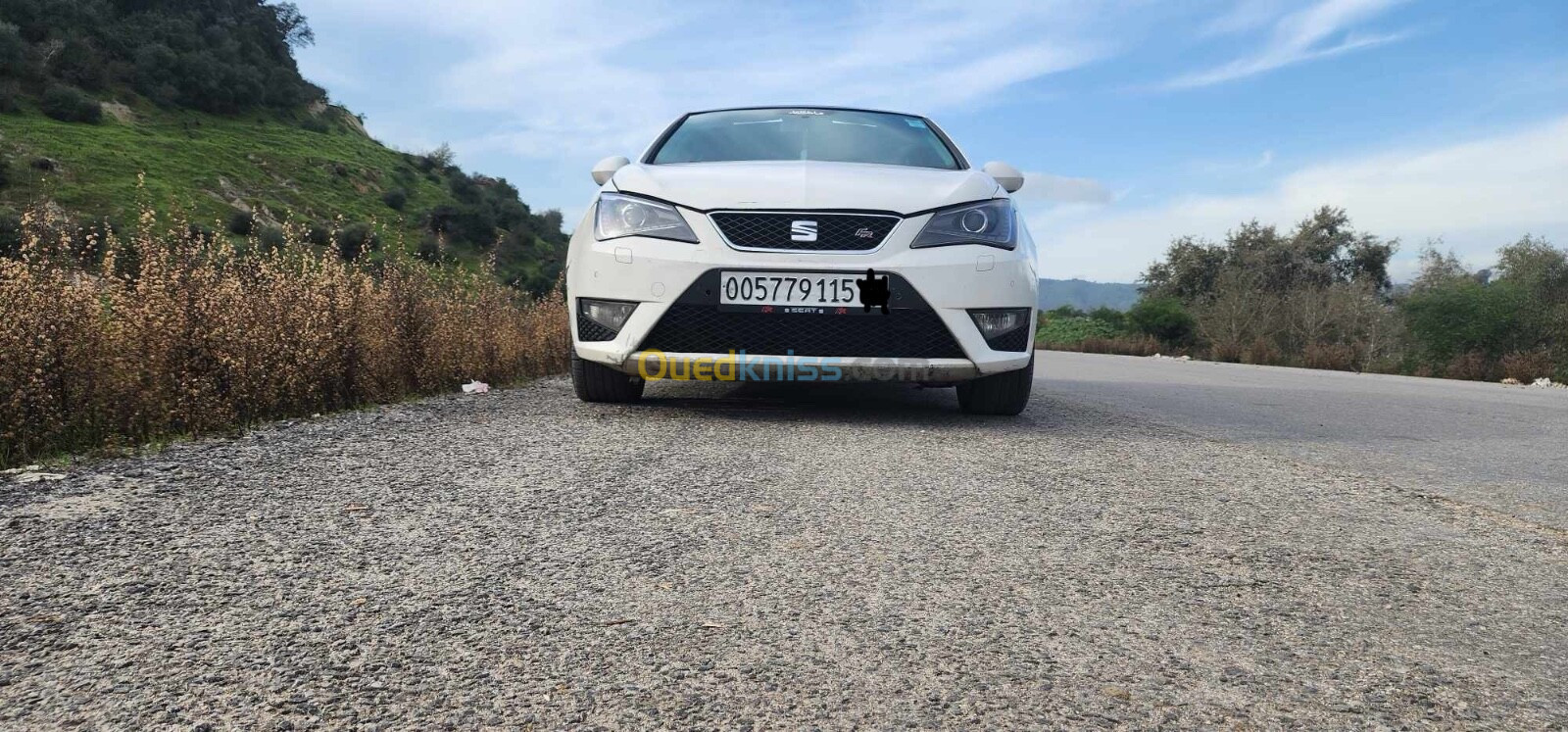 Seat Ibiza 2015 