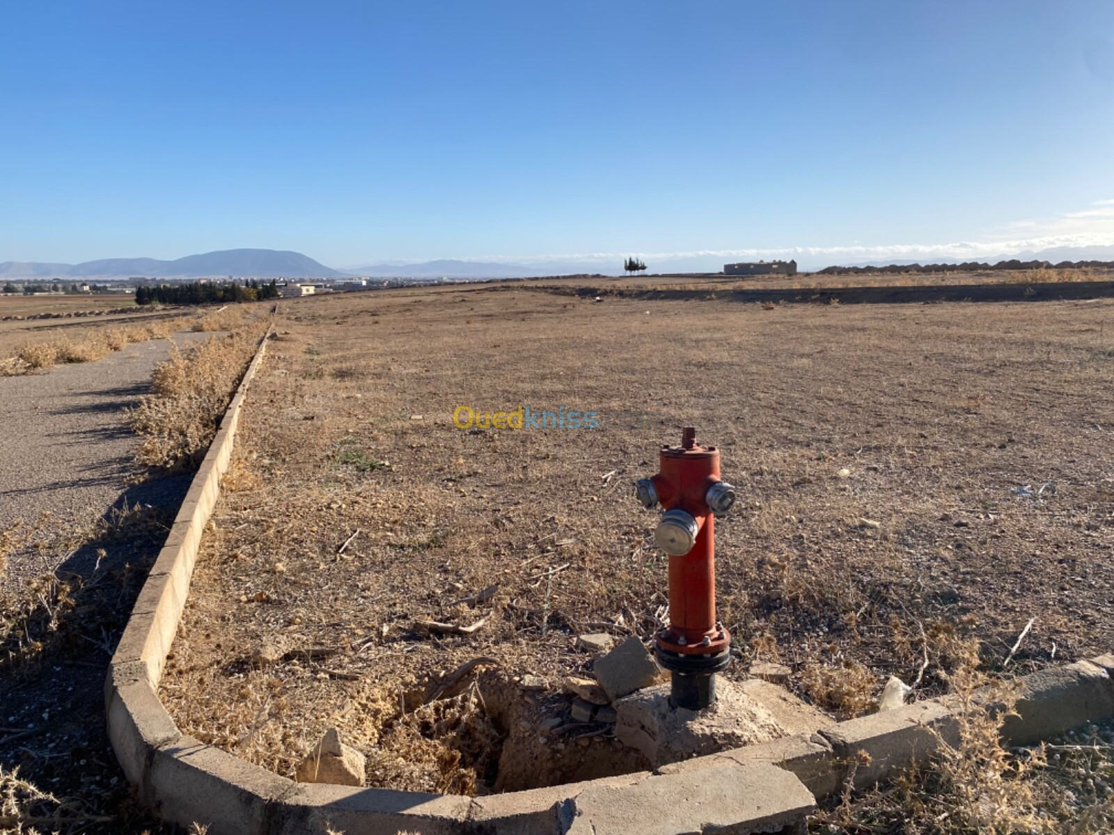 Vente Terrain Sétif Mezloug