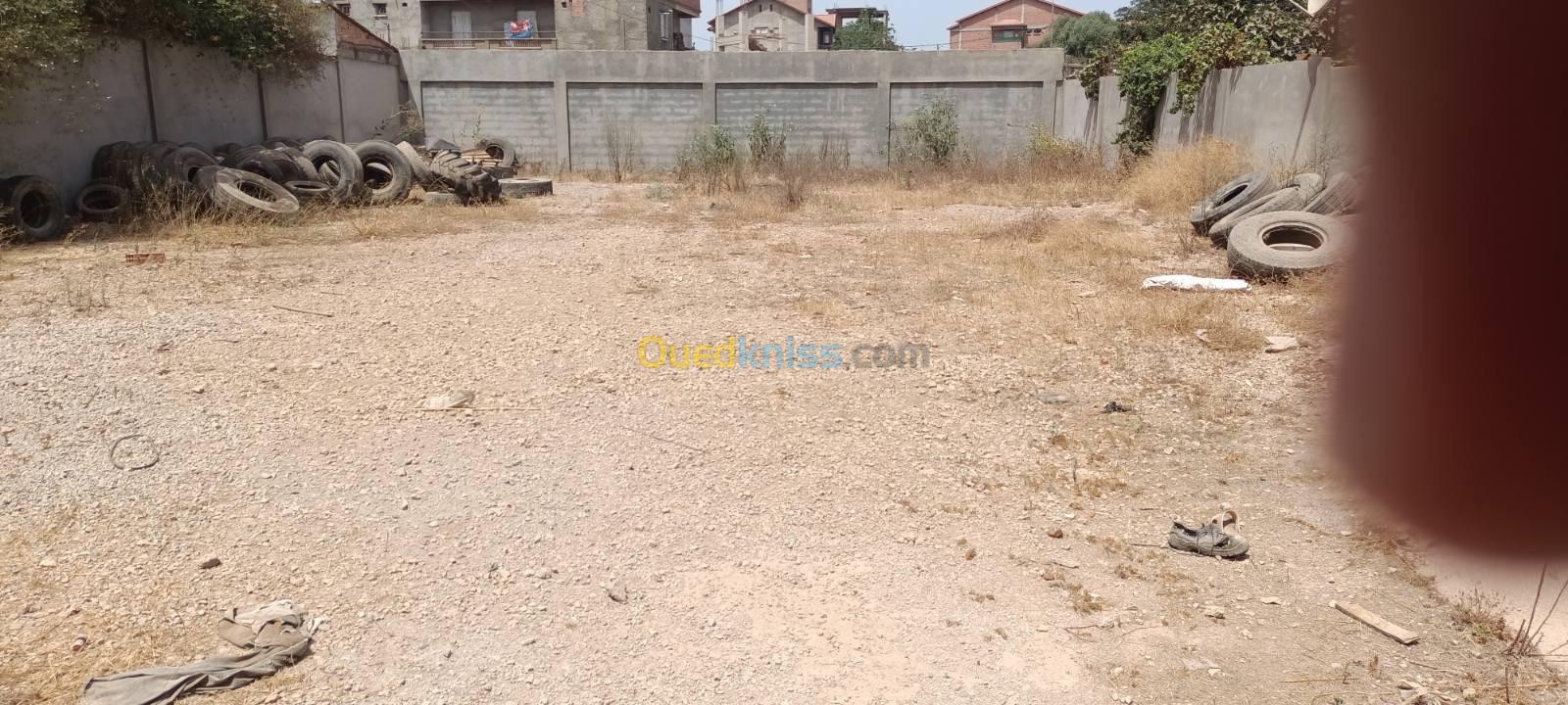 Location Hangar Boumerdès Ouled hedadj