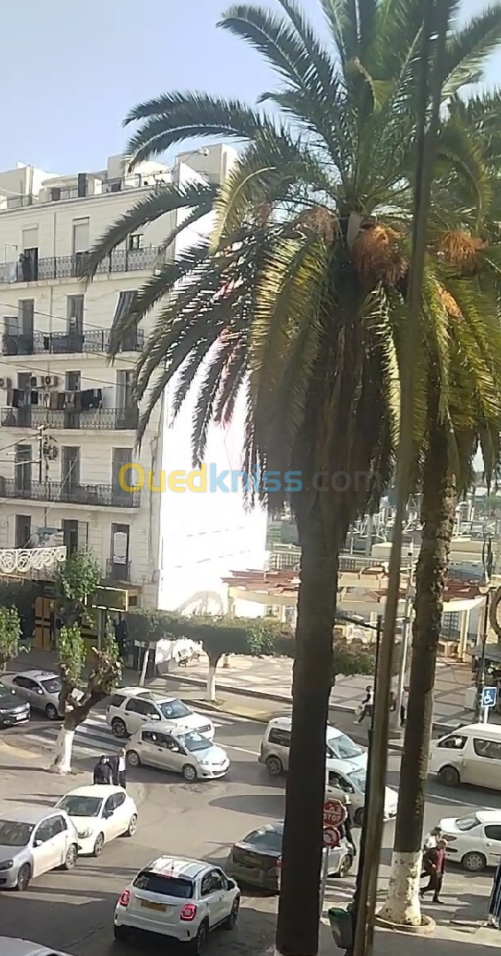 Location Appartement Alger Sidi mhamed