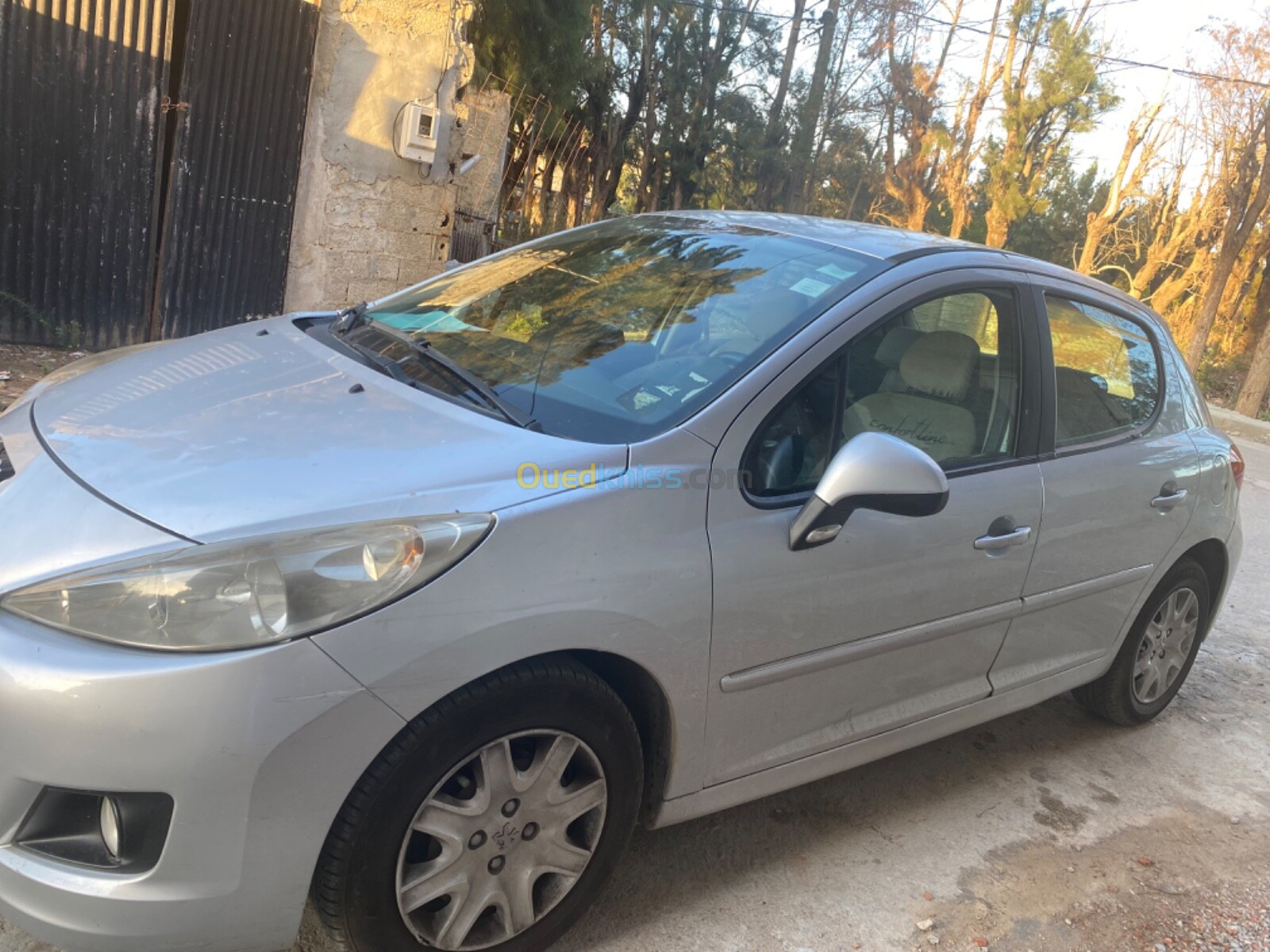 Peugeot 207 2011 Active