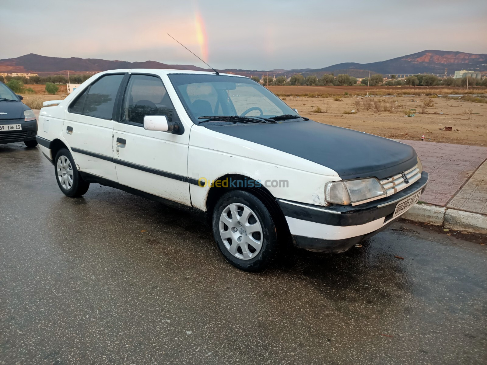 Peugeot 405 1989 405