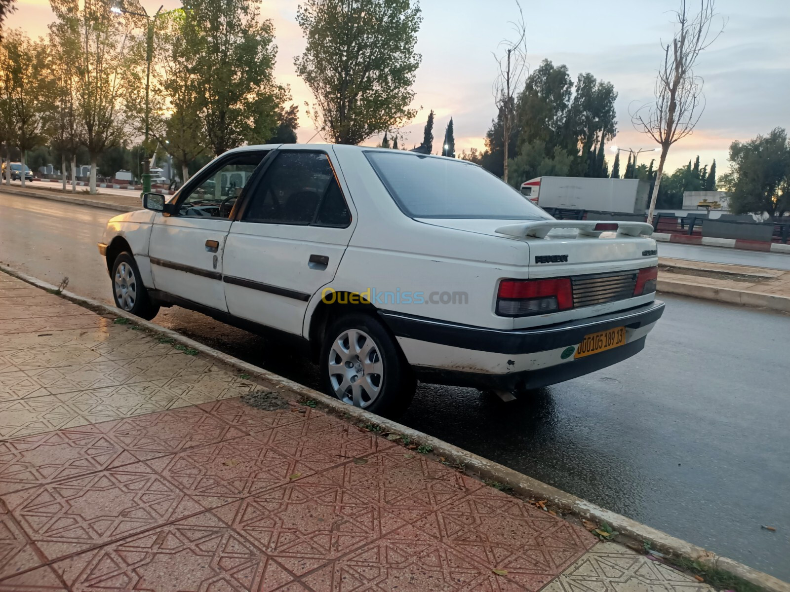 Peugeot 405 1989 405