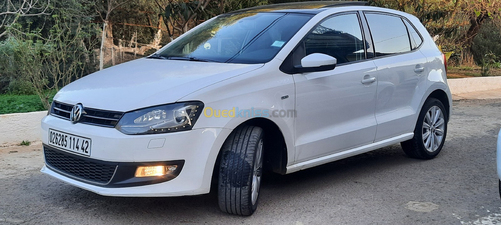 Volkswagen Polo 2014 Life